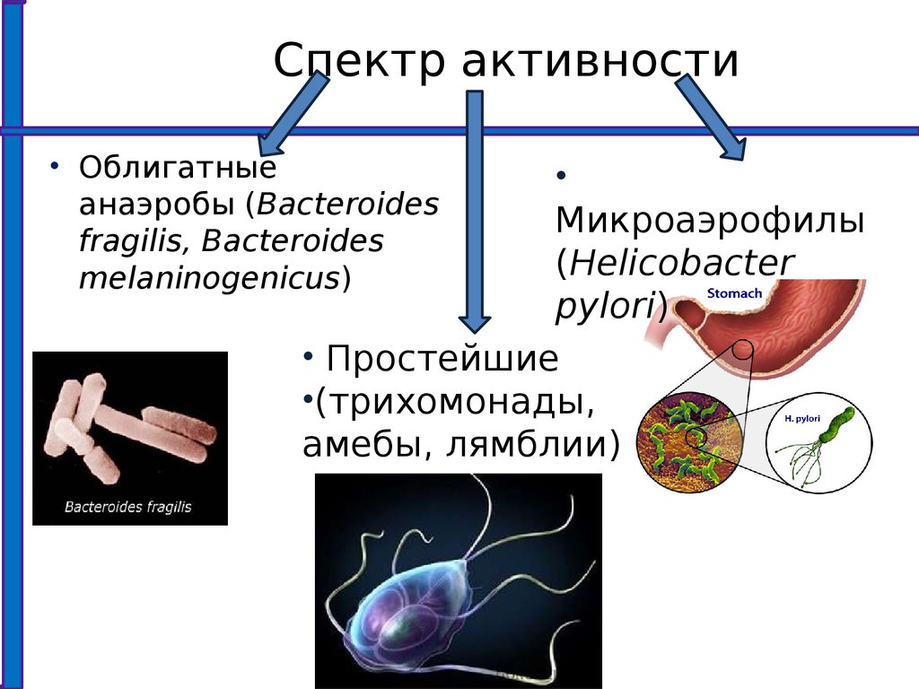 Спектр активности