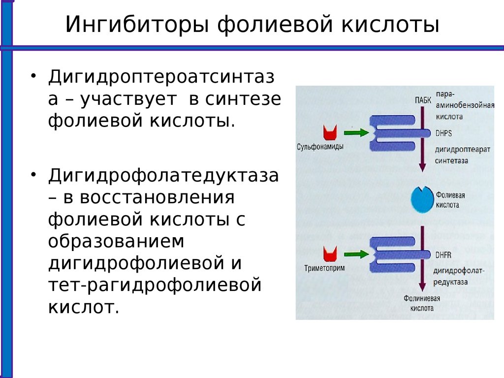 Фолиевая кислота презентация