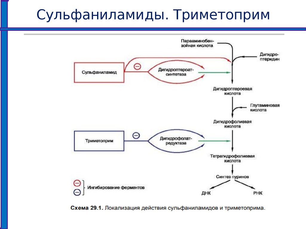 Триметоприм