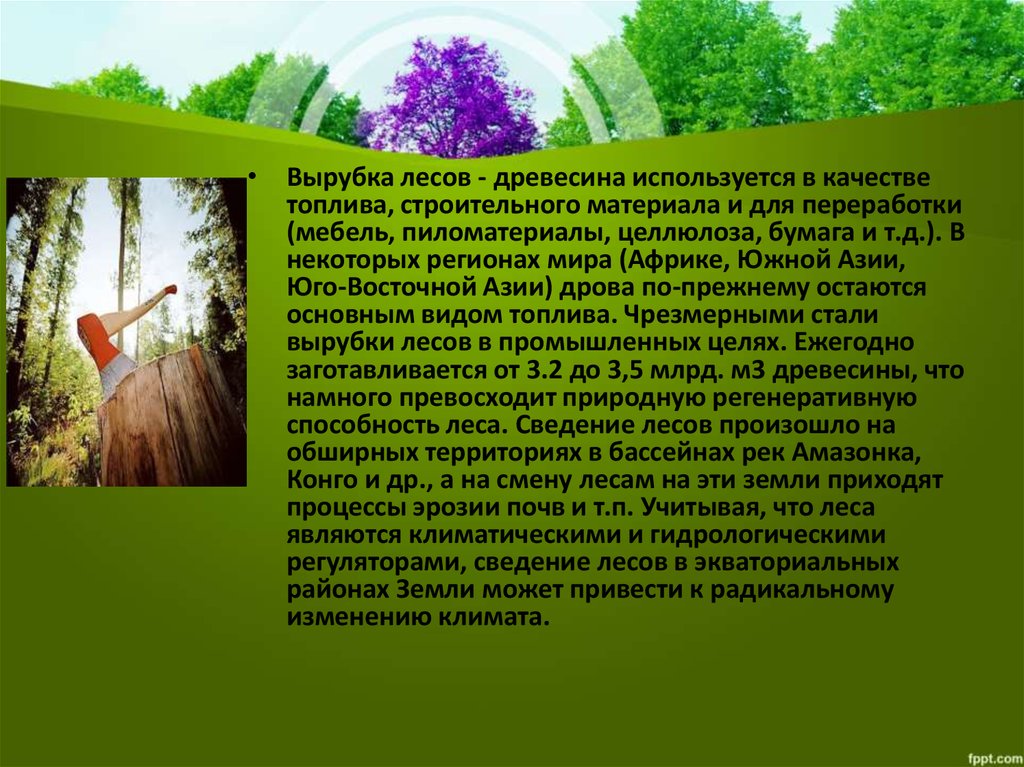 Сведение лесов в бассейнах рек приводит. Сведение лесов. Древесина используется в качестве топлива. Что значит сведение лесов. Сведение лесов это кратко.