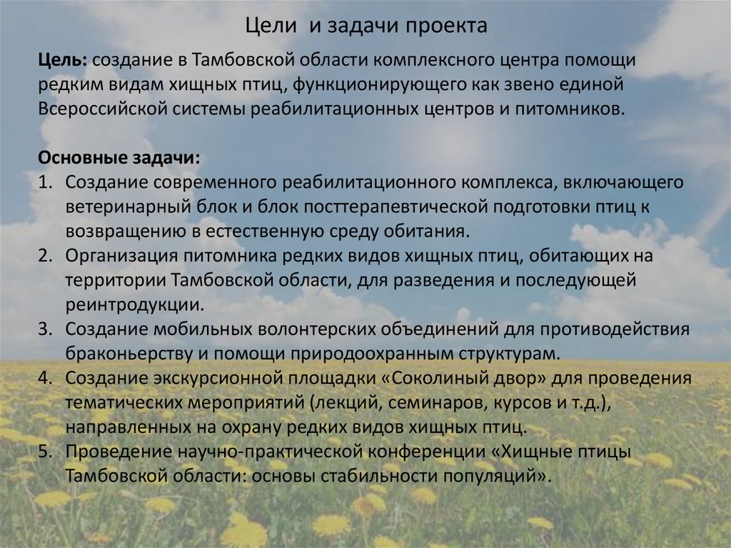 Цели и задачи проекта. Проект о птице цели и задачи. Формирование целей и задач проекта. Цели и задачи тематических мероприятий. Задачи проекта создания экскурсии.