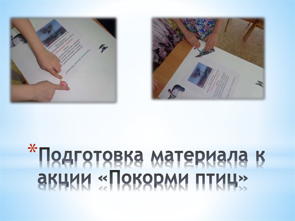 Подготовка материала к акции «Покорми птиц»