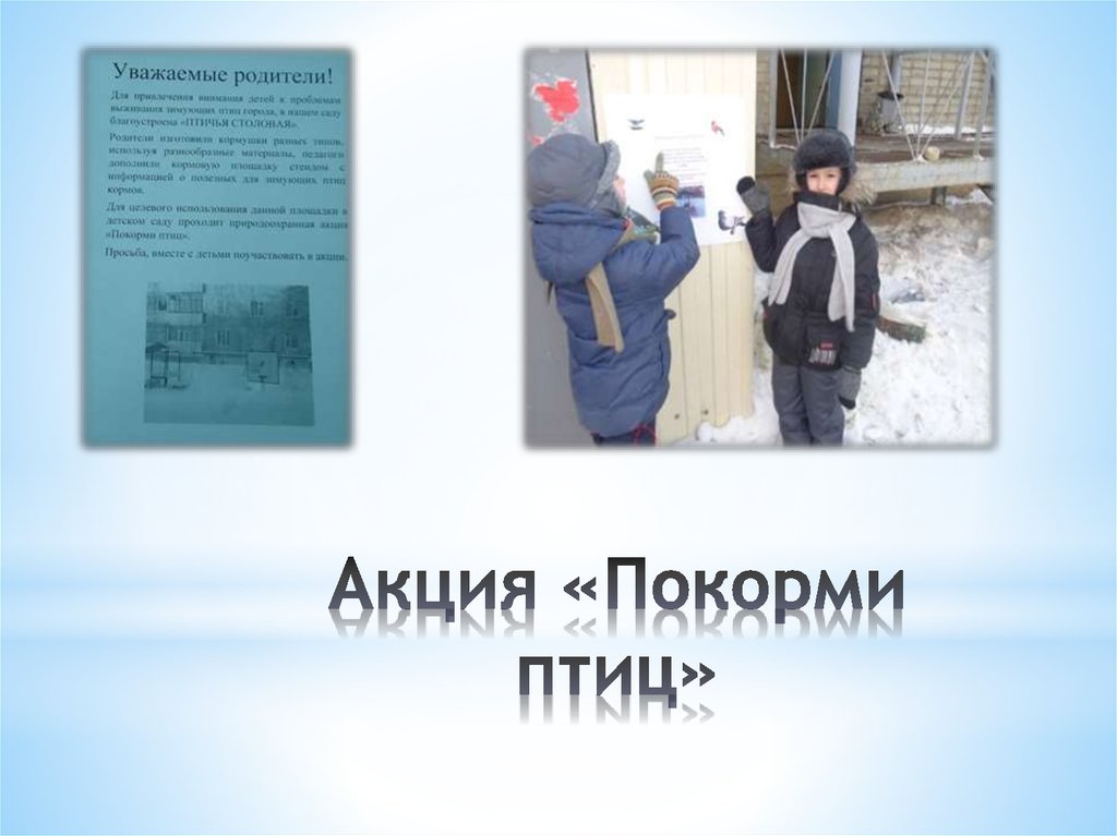 Акция «Покорми птиц»