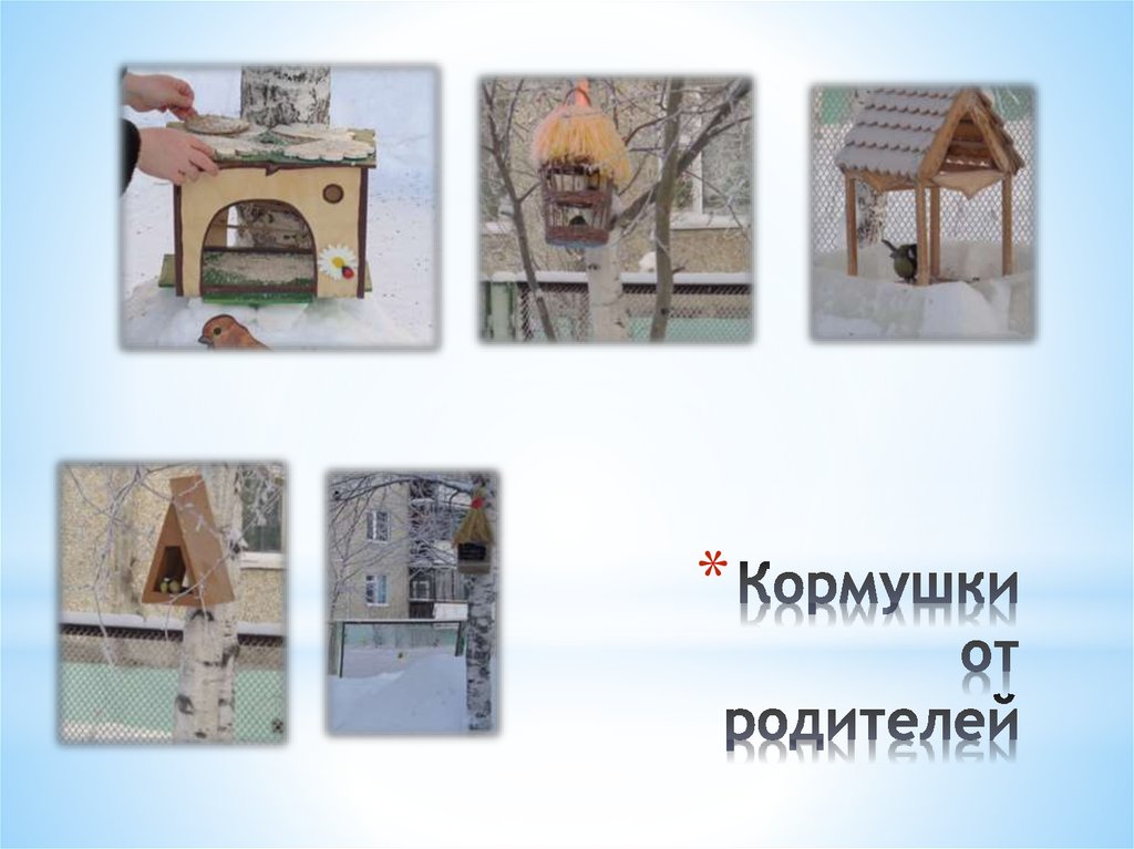 Кормушки от родителей