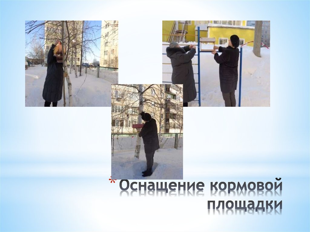 Оснащение кормовой площадки