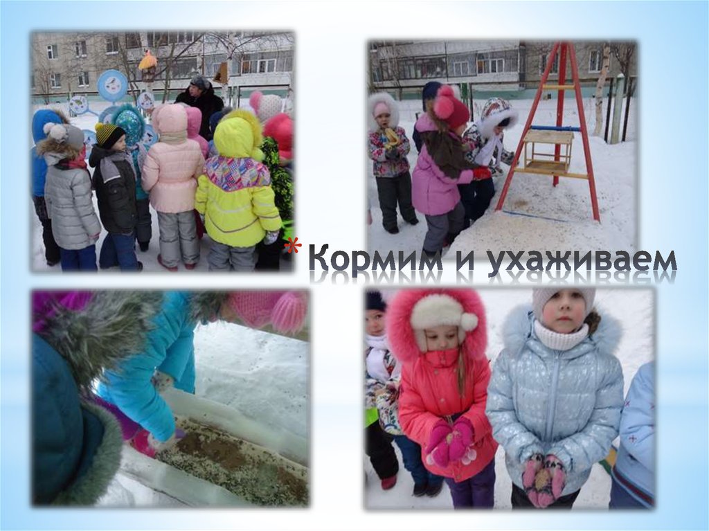 Кормим и ухаживаем