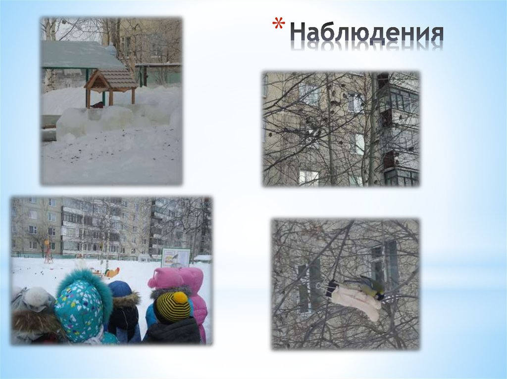 Наблюдения  