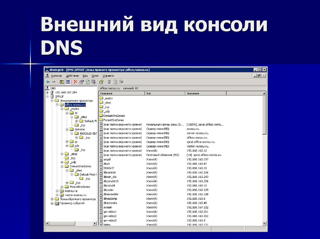 Server имя. DNS сервер администрирование. Название сервера в информатике. Имя сервера это Информатика. Типы серверов Информатика.