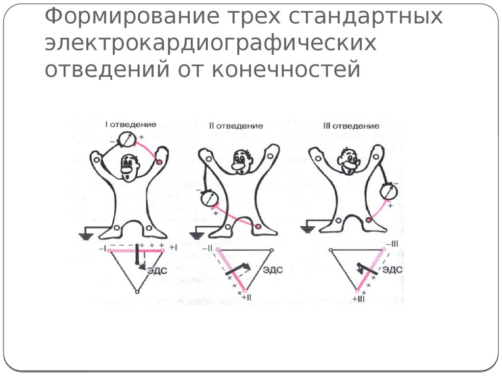 Три формирование