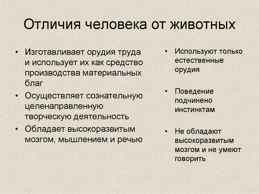 Человек как биологическое и социальное существо план