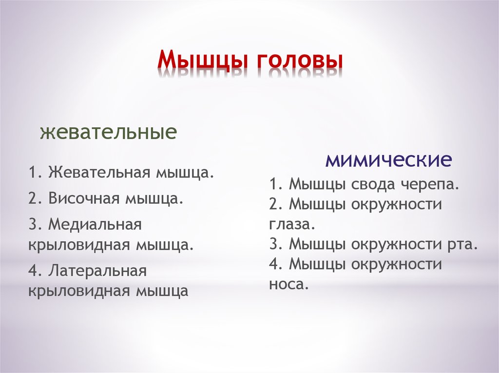 Функции мышц головы