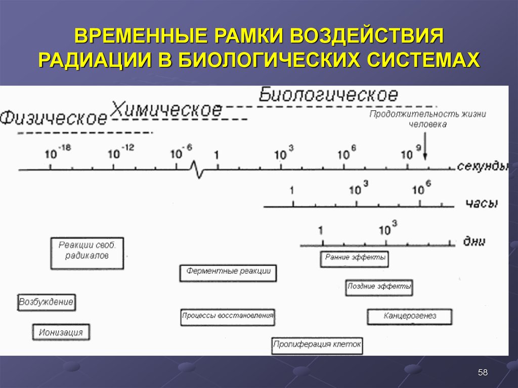 Блок схема радиоактивность