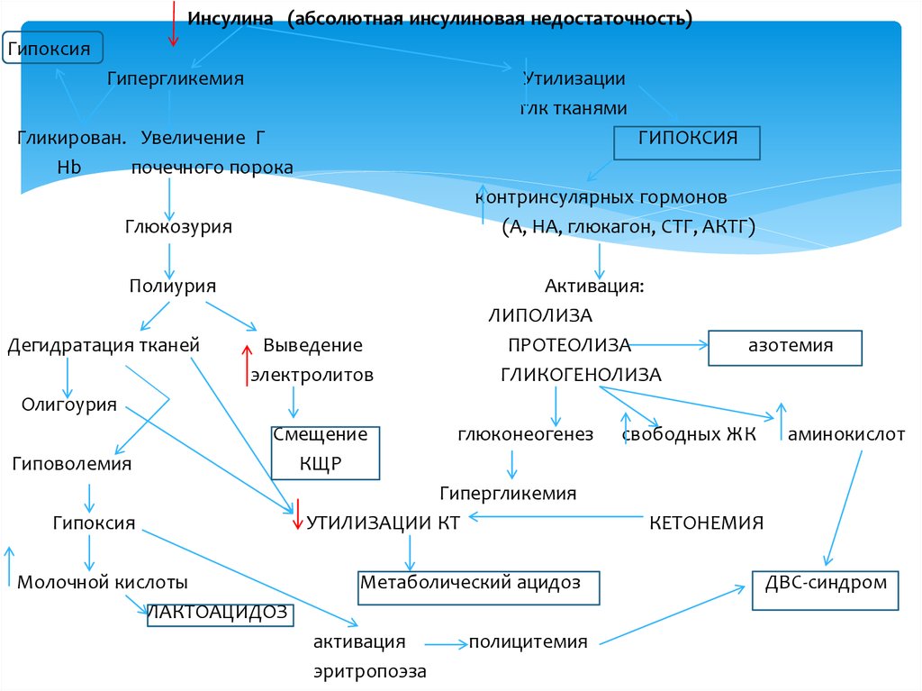 Схема развития диабетических ком