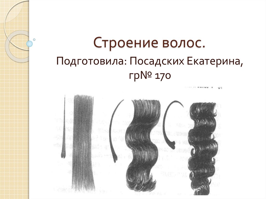 Причина разных видов волос