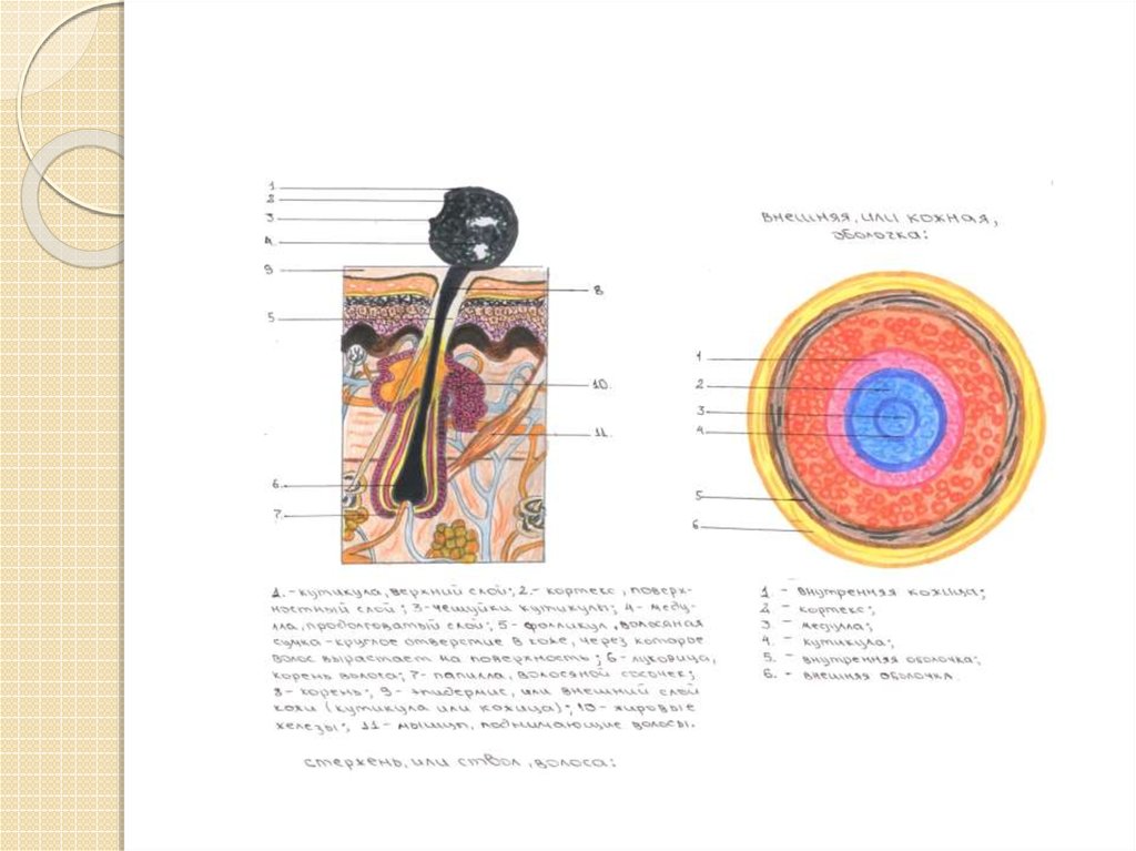 Жесткая вода и накипь. Структура, свойства и способы минимизации ущерба (Steanlab Review) / Хабр