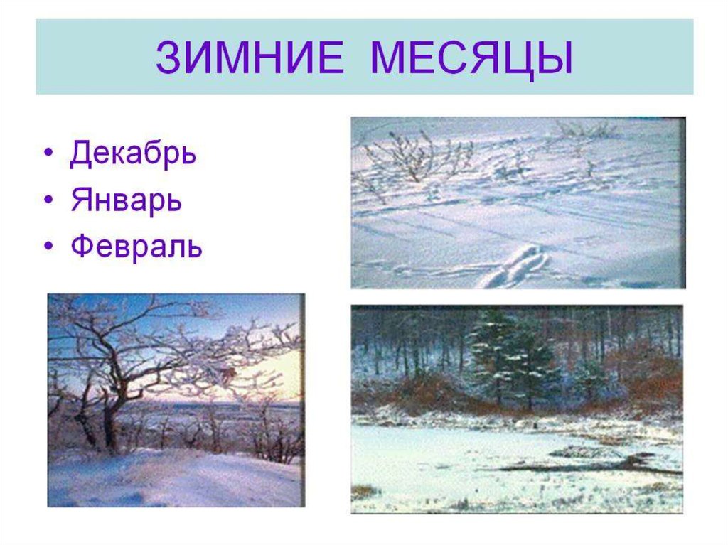 Зимние месяцы презентация