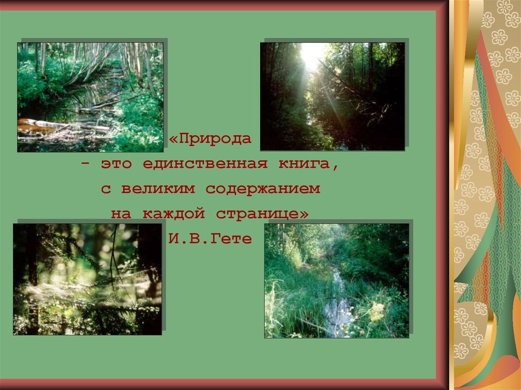 О природе писали 2. Природа это единственная книга с великим содержанием на каждом листе. Природа как книга написанная. Магазин природа природа написание текста. Написать а природа это губы изменение.