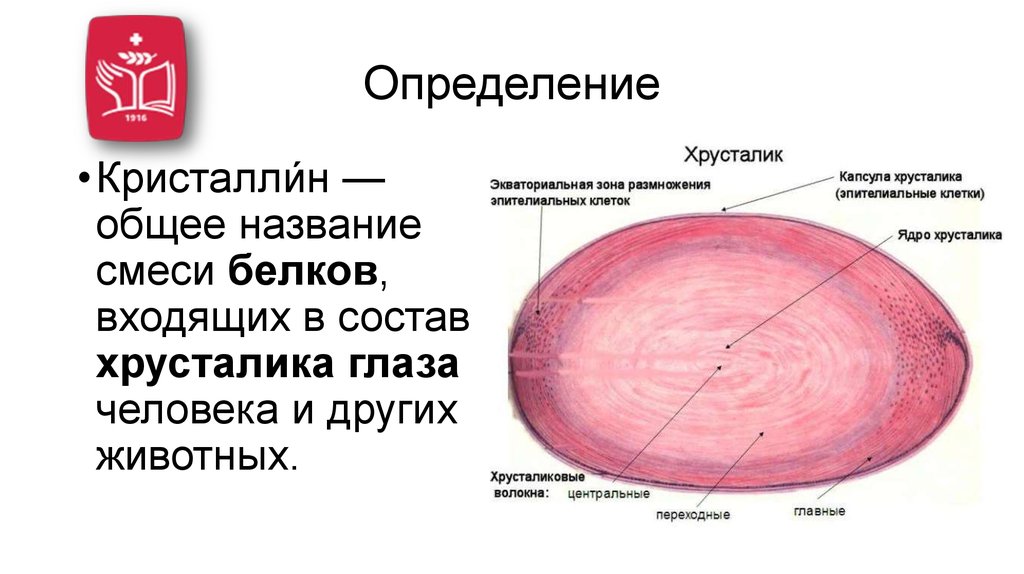 Определение