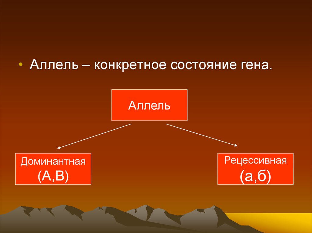 Аллели находящиеся в