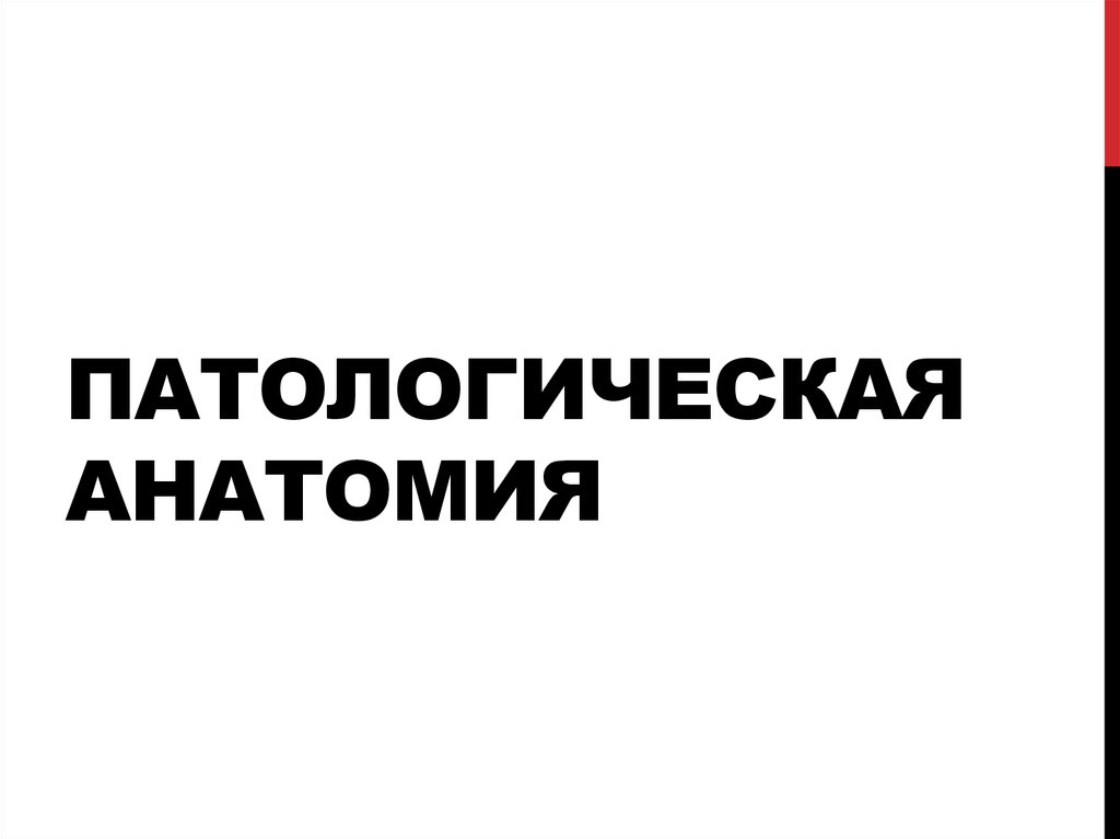 Патологическая анатомия