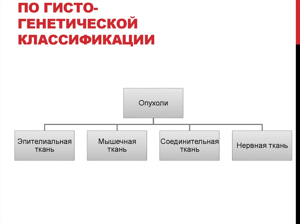 По гисто-генетической классификации