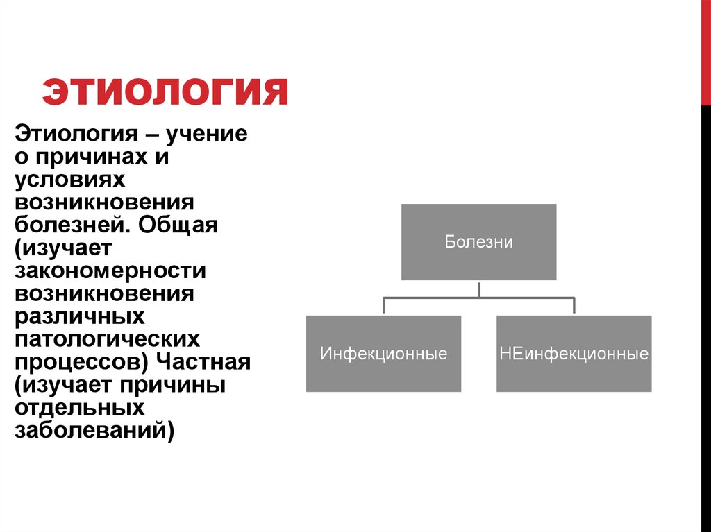 Учение о причинах условия возникновения. Этиология изучает. Общая этиология изучает. Этиологические генез схема. Этиология инфекционных заболеваний.