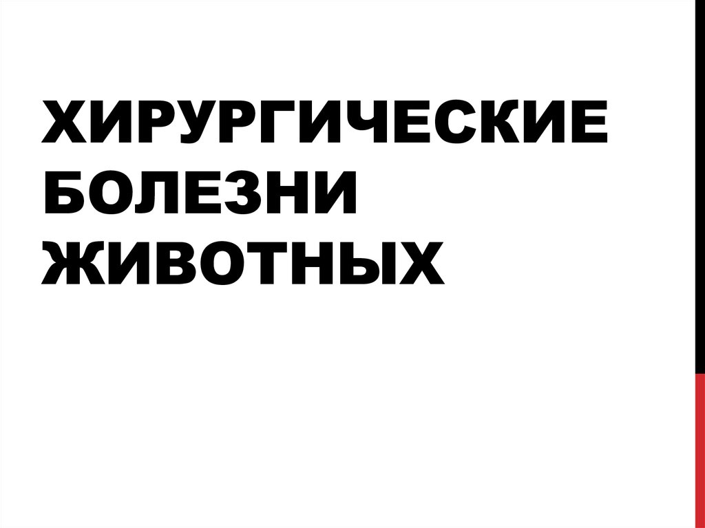 Хирургические болезни животных