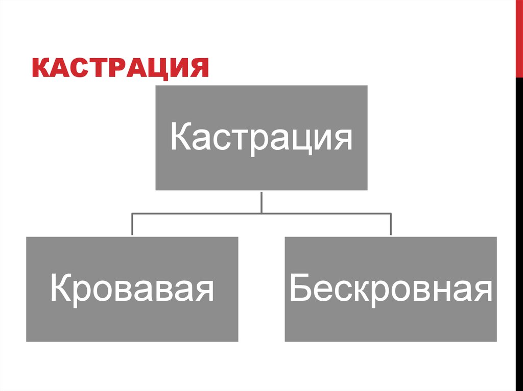 Кастрация
