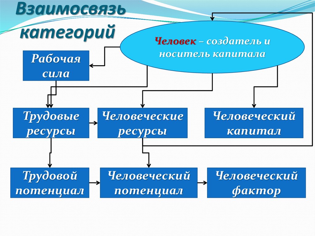 Ресурсы рабочей силы. Трудовые ресурсы, человеческий капитал и человеческие ресурсы. Взаимосвязь категории. Рабочая сила, трудовые ресурсы и человеческие ресурсы. Универсальные категории взаимосвязи.