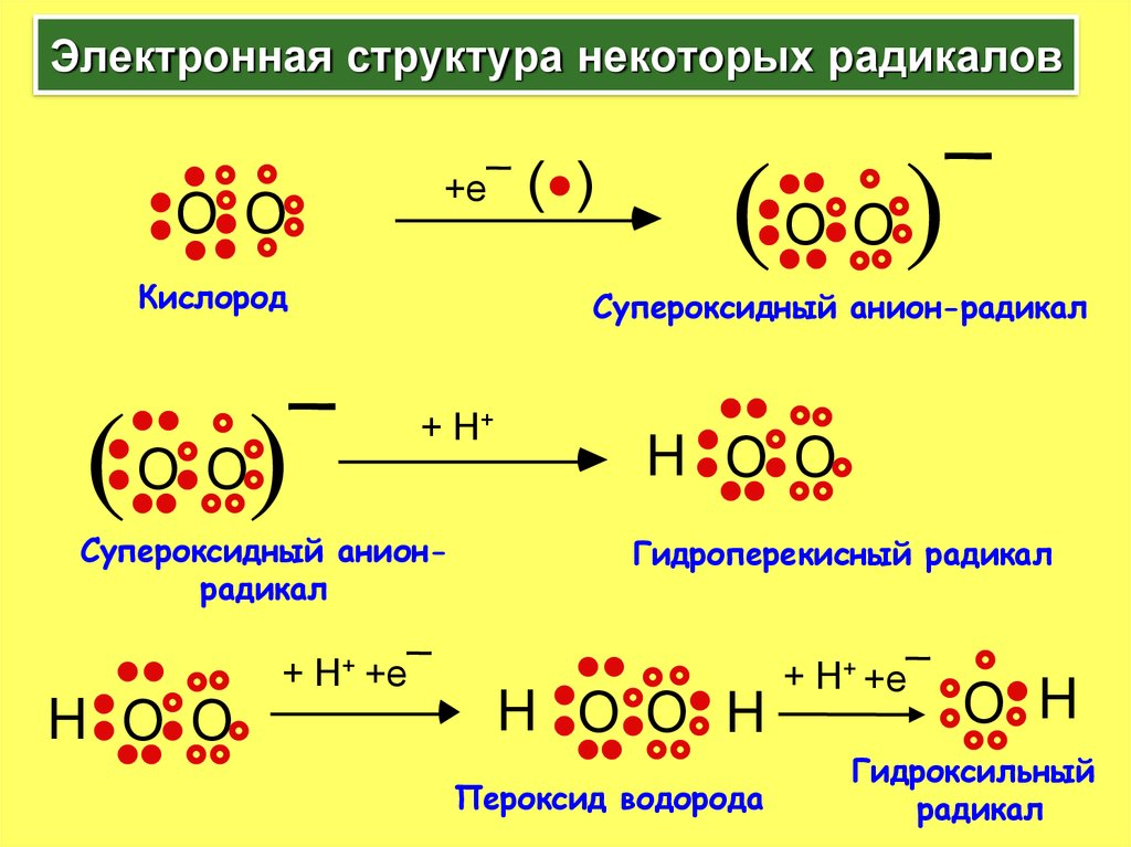 Восстановление кислорода. Электронное строение свободных радикалов. Супероксид анион строение. Супероксид анион радикал. Активные формы кислорода: супероксидный анион.