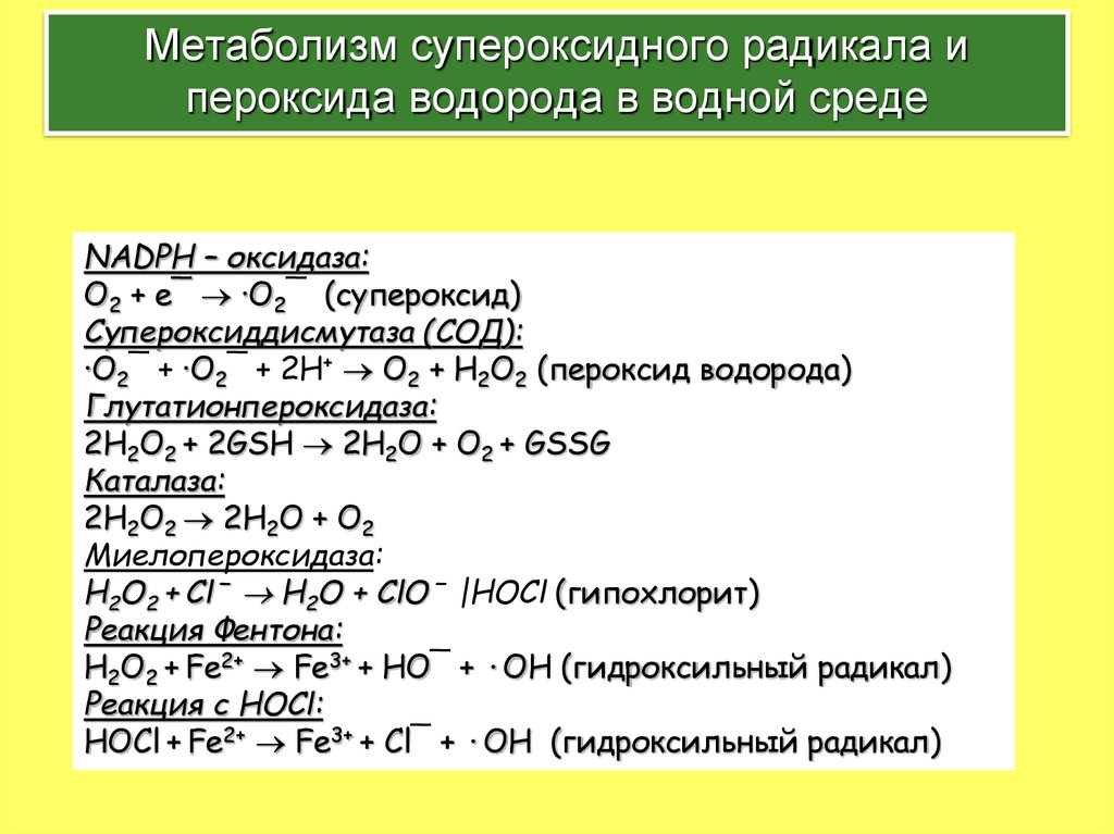 Возможные реакции пероксид водорода. Реакцию образования супероксид-анион-радикала. Активные формы кислорода: супероксидный анион. Супероксид анион радикал. Образование супероксидного радикала.