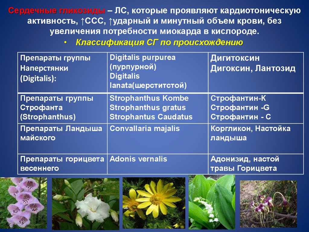 Сердечные гликозиды характеристика. Препараты наперстянки сердечные гликозиды. Препараты горицвета весеннего сердечные гликозиды. Сердечные гликозиды классификация. Лекарственные препараты с сердечными гликозидами.