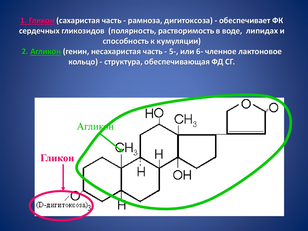 Сердечные гликозиды это