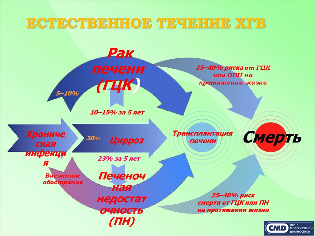 Естественное течение