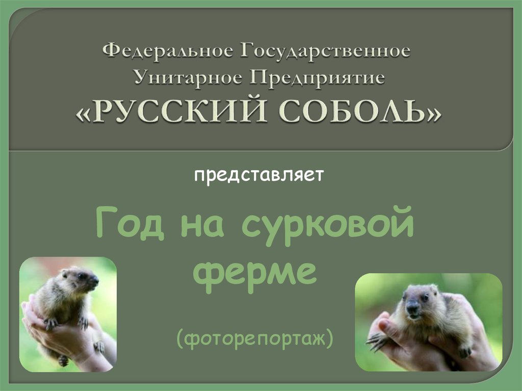 Федеральное Государственное Унитарное Предприятие «РУССКИЙ СОБОЛЬ»