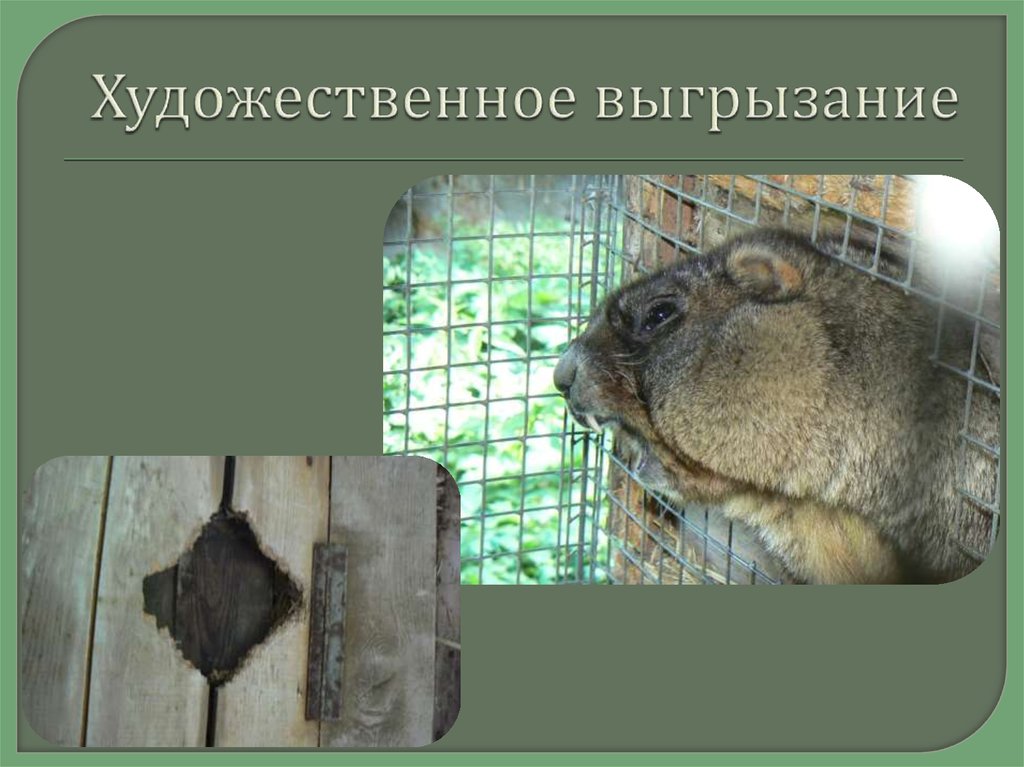 Художественное выгрызание