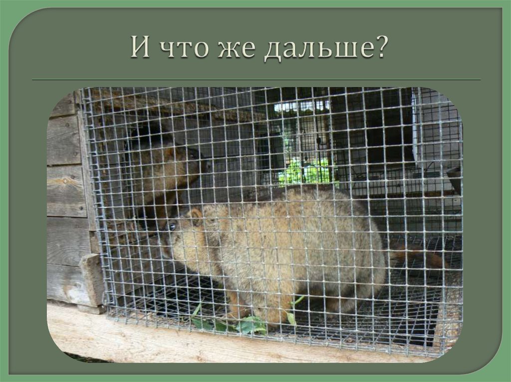 И что же дальше?