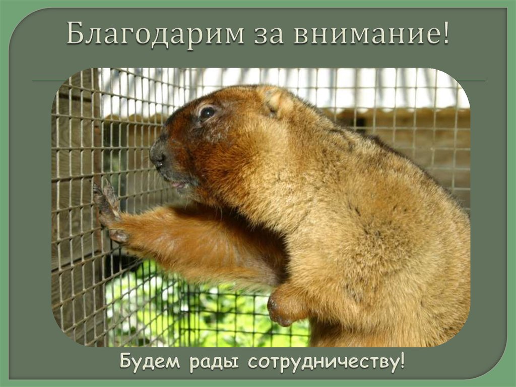 Благодарим за внимание!