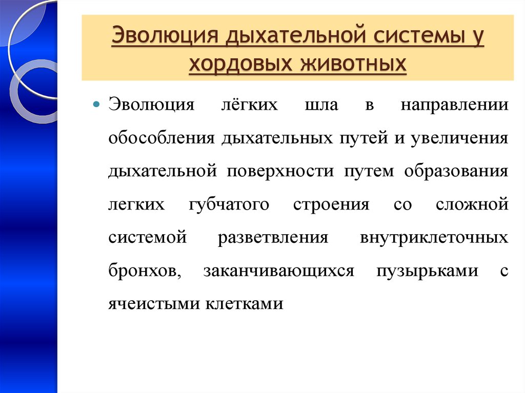 Эволюция дыхательной системы презентация 7 класс