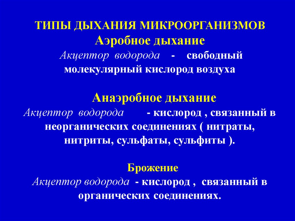 Морфология и физиология микроорганизмов