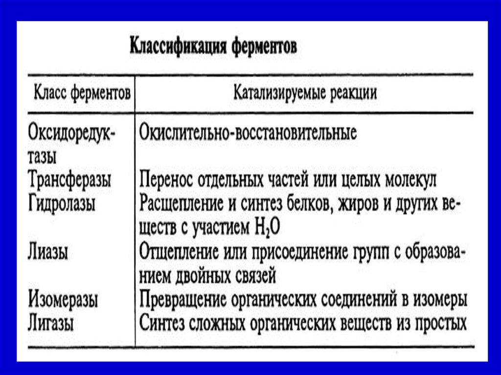 6 классов ферментов. Морфология и физиология микроорганизмов. Принципы систематики бактерий. Классификация ферментов в бактериальной клетке. 5 Класс ферментов биохимия.