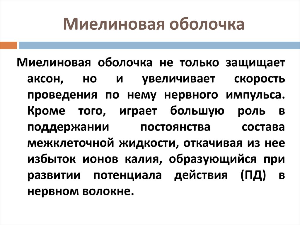 Миелиновая оболочка функции. Миелиновая оболочка. Миелиновая оболочка состоит. Основные функции миелиновой оболочки. Миелиновая оболочка — это оболочка.