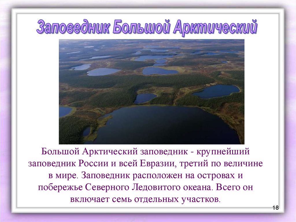 Название заповедников в арктической зоне. Арктический заповедник расположен. Местоположение арктического заповедника России. Где расположен большой заповедник в Арктике?. Большой Арктический заповедник доклад.