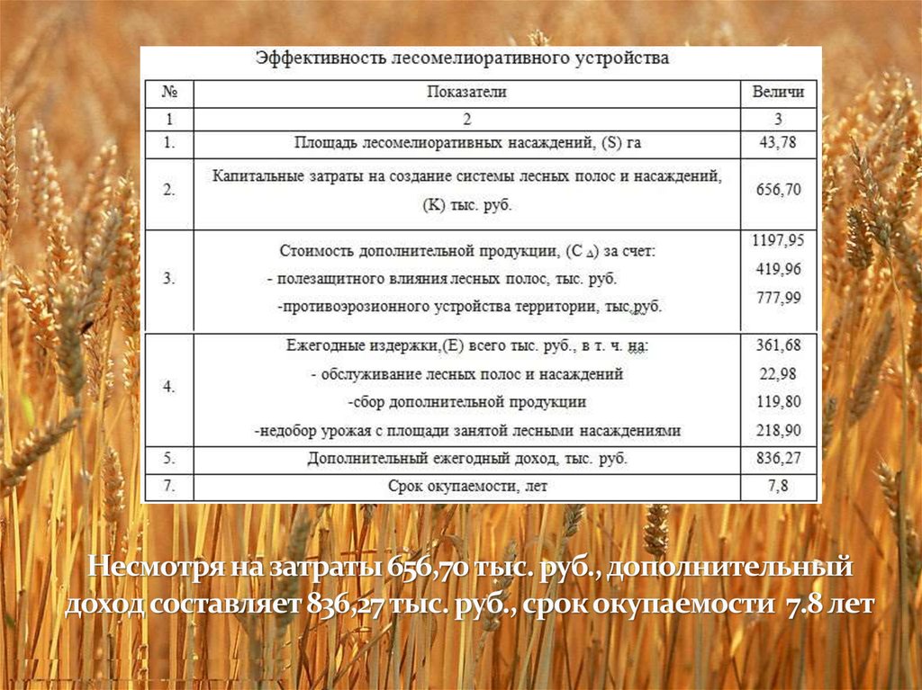 Несмотря на затраты 656,70 тыс. руб., дополнительный доход составляет 836,27 тыс. руб., срок окупаемости 7.8 лет