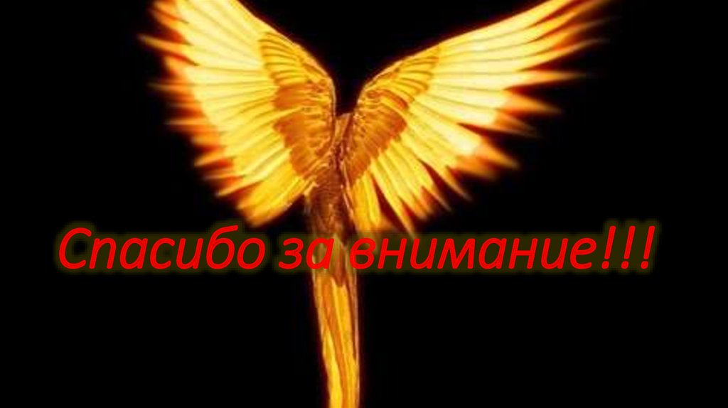 Спасибо за внимание!!!