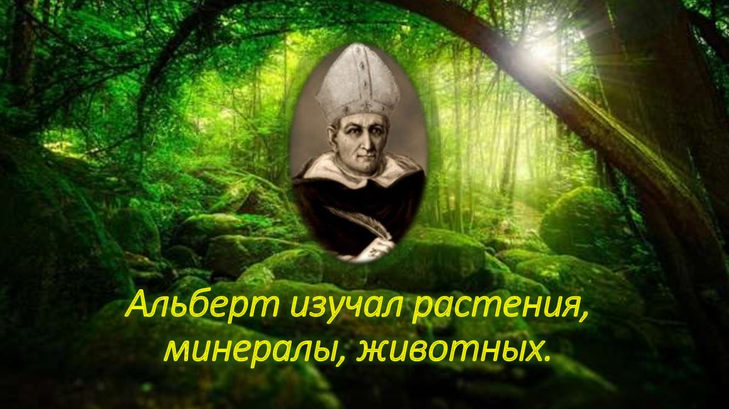 Альберт изучал растения, минералы, животных.