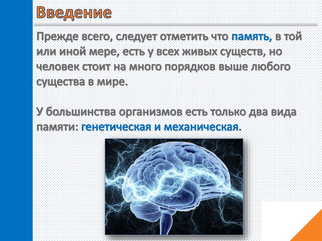 Память презентация. Память Введение. Графическое Введение память. Генетическая и механическая память. Введение память и ее свойства.