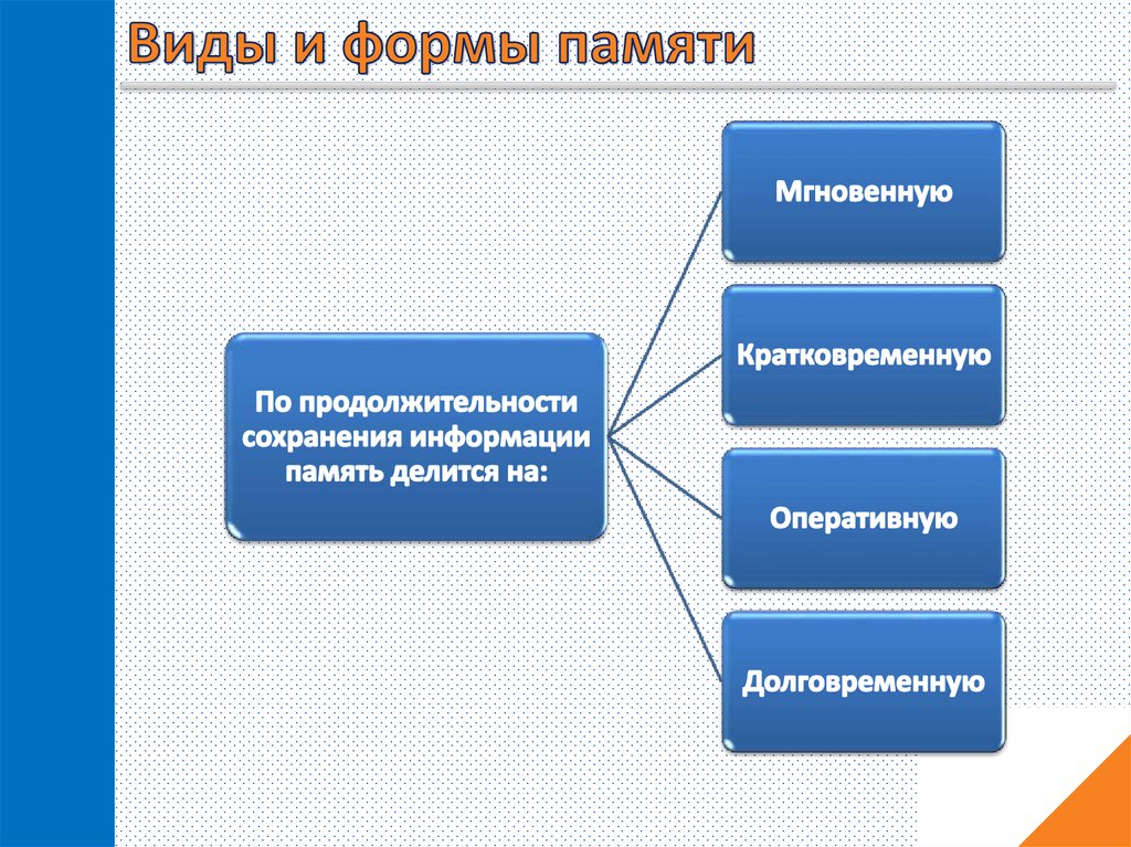 Память виды презентация