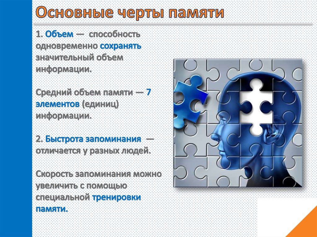 Память презентация 8 класс