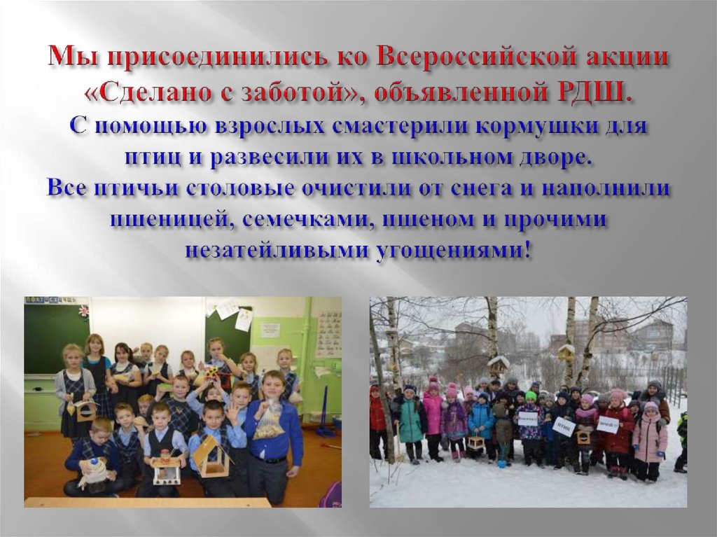Мы присоединились ко Всероссийской акции «Сделано с заботой», объявленной РДШ. С помощью взрослых смастерили кормушки для птиц